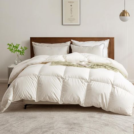 Couette en Plumes d'oie et Duvet 220x240 (1/5)