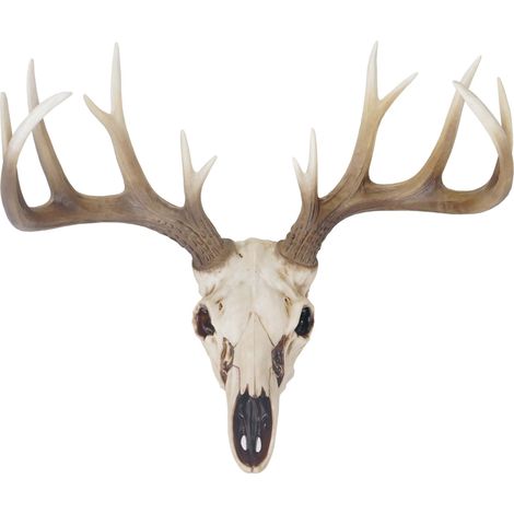 Crâne de décoration cerf 58 cm, polyresin, sculpture, ramure de cerf, intérieur/plein air (1/5)