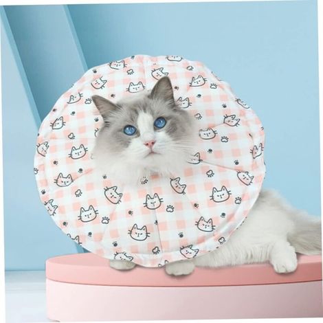 Collier pour chat réglable, souple et anti-fuite, collier de protection réglable pour chats après une chirurgie ou une blessure (tour de cou optimal 12-25 cm (S)) (1/4)