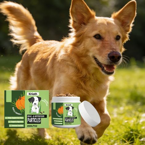 Comprimés à croquer probiotiques pour chiens - Soin intestinal doux pour animaux de compagnie, complément alimentaire - 200 g (1/5)