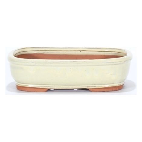 Vaso bonsai smaltato rettangolare cm. 25 Avorio