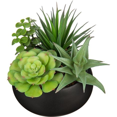 Plantes artificielles petites plantes grasses artificielles dans un pot en céramique avec pot noir pour décoration de la maison (1/5)