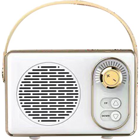 Enceinte Rétro Bluetooth Portable Blanc Son Clair Mini Haut-Parleur Vintage pour Maison Voyage Extérieur (1/5)