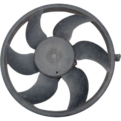 Moteur Ventilateur Radiateur PEUGEOT 206 5p [PRODUIT D'OCCASION]♻️125391 (1/4)