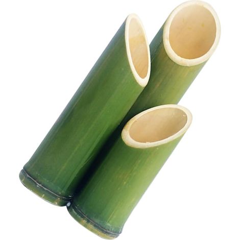 Lot de 3 Vases Tubulaires en Bambou Naturel 20-30 CM Pots de Fleurs Minimalistes pour Fleurs Séchées et Plantes Décorations Écologiques pour Maison Bureau et Mariage (1/5)