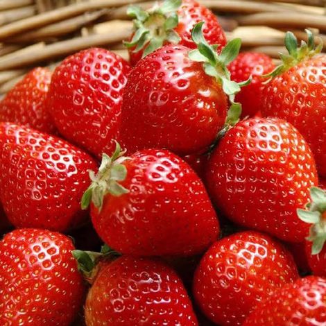 2000 pcs Bulk strawberry seeds pack – fruit garden seed set