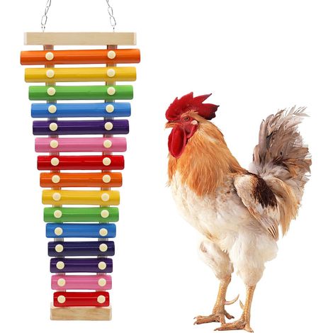 Xylophone jouet coloré en forme de poule, xylophone suspendu amusant avec 15 touches en métal, accessoire de cage pour poules, poussins, perroquets, perruches, inséparables (1/4)