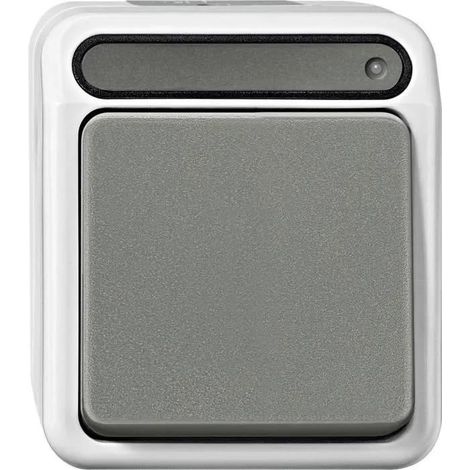 Schneider Electric Merten Aquastar Interruptor Gris Claro