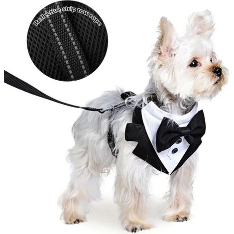 Smokings et nœuds papillon pour chiens, tenues de mariage avec colliers, pour chiens et chats de petite et moyenne taille, anniversaires/mariages (1/5)
