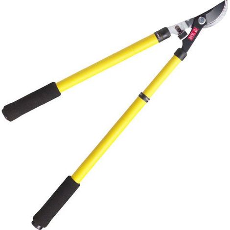 Forbici telescopiche professionali in acciaio a 2 mani