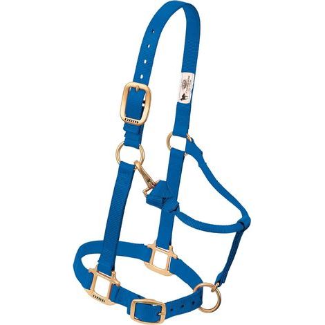 1 Licol Cheval Nylon Largeur 2,5cm Matériel Laiton Réglable Équitation (1/2)