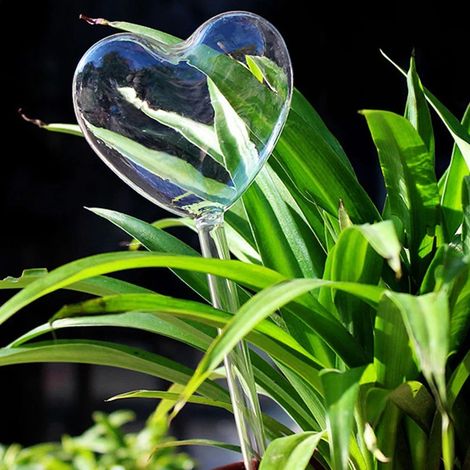 (Couleur transparente) 1 bulbe d'arrosage automatique en forme d'oiseau, système d'irrigation goutte à goutte pour plantes à fleurs de jardin. (1/3)
