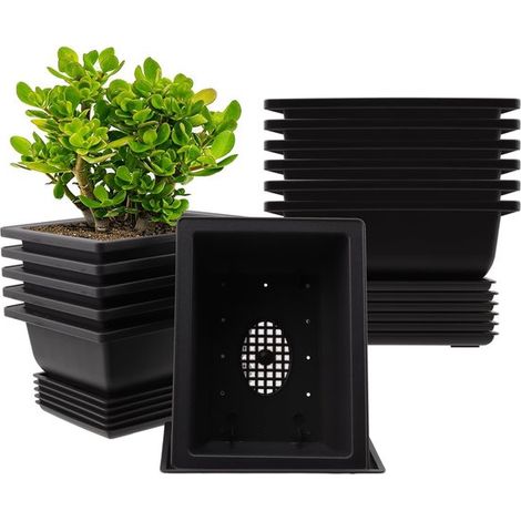 NTHProducts, Macetas para entrenamiento de bonsáis, Macetas de plástico para plantas, Duraderas y resistentes, Negras (1/5)