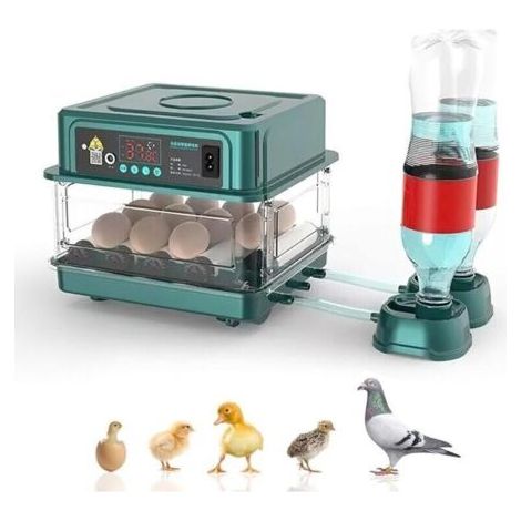 Couveuse Oeuf Automatique,avec Surveillance de l'humidité,Retournement Automatique des Œufs,Ajout Automatique d'eau et Éclairage des Œufs,pour Éclosion de Poulet,Canards,Caille (12 Oeufs)