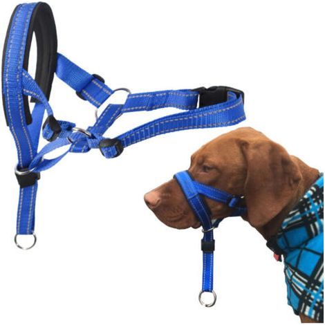 Muselière pour chien bleue - Taille XL (tour de cou 40-54 cm) - Confortable, sécurité renforcée, pour grands chiens (1/5)