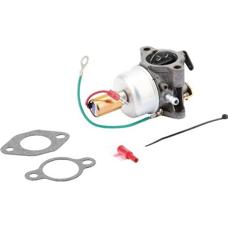 Set para el carburador KOHLER 12853118S