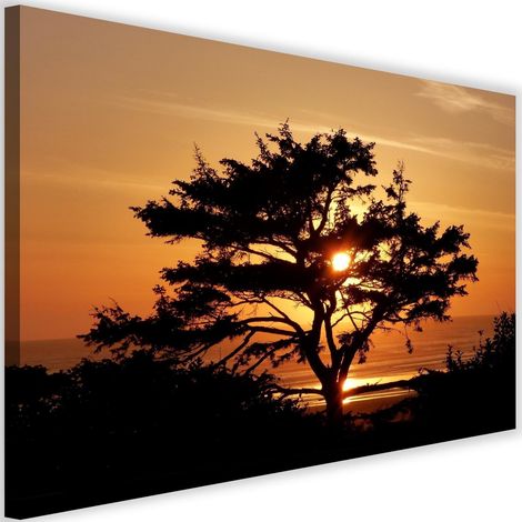 Tableau sur toile Arbre mer coucher de soleil 60x40 (1/5)