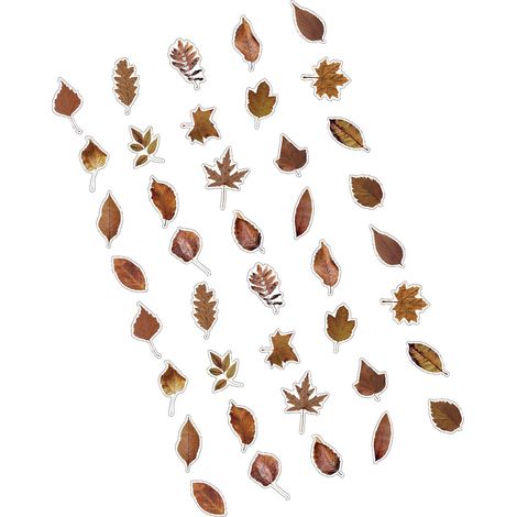 40 stickers feuilles PET thème plantes, autocollants botaniques pour DIY carnet, déco scrapbooking, matériel végétal, feuilles séchées, pack de 40 pièces (1/5)