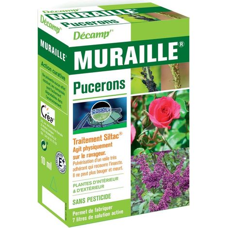 Spezielle Blattlauswand SANS MARQUE (1/3)