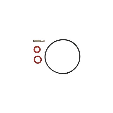 Kit carburatore CASTELGARDEN - GGP 118550389/0