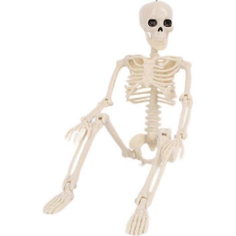 Esqueleto de Halloween, huesos de animales, horrible simulación, decoración del hogar, juguetes, decoración de habitaciones, adornos, accesorios de terror para Halloween, fiesta (1/5)
