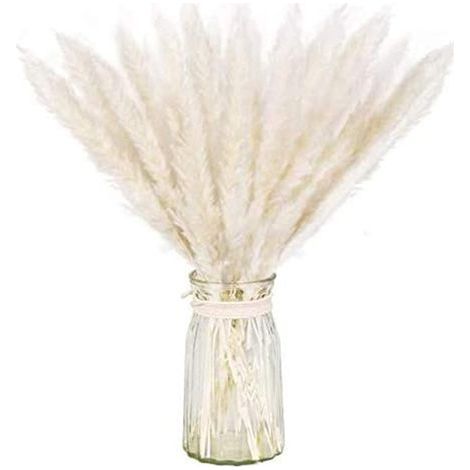 AIDUCHO Paquete de 20 piezas de hierba de la Pampa seca natural para decoración del hogar, color blanco. (1/5)