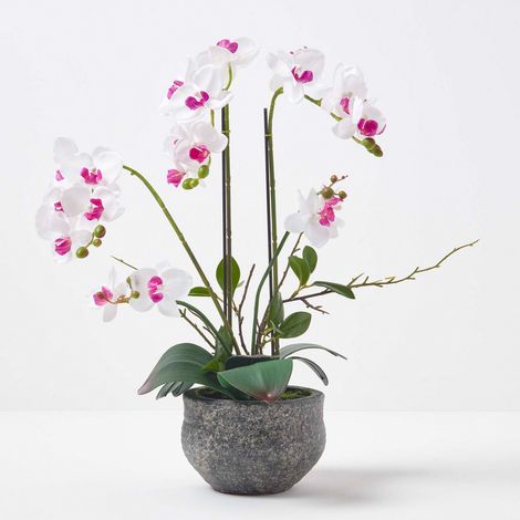 HOMESCAPES Künstliche weiße Phalaenopsis-Orchidee im grauen Zement-Topf, 52 cm