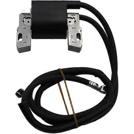 Bobine d'allumage 394891 de remplacement pour moteur bicylindre Briggs & Stratton 1618 HP, démarrage fiable (1/5)