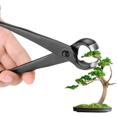 Tijeras cóncavas para bonsái, de 210 mm, para cortes precisos, adecuadas para podar ramas pequeñas. (1/5)
