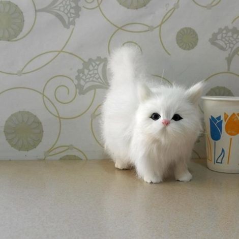 Jouet en peluche pour chat - Chat pelucheux blanc - Simulation cri de chat réaliste