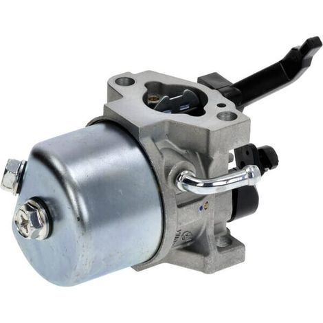 Carburatore AL-KO 417650 (1/5)
