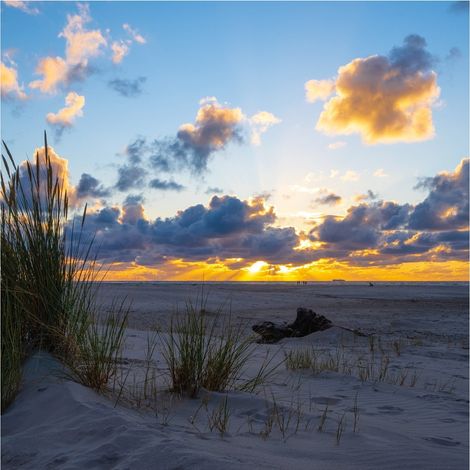Fototapete 364699 Vliestapete Natur Landschaft 371 x 265 cm Rasch Selection Blau (1/4)