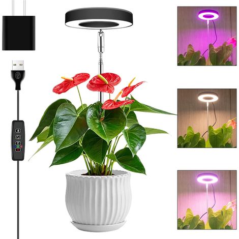 Lampe de croissance pour plantes d'intérieur, 48 LED à spectre complet avec minuterie marche/arrêt automatique-AquaForge (1/4)