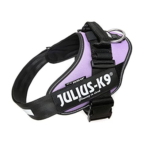 Pettorina IDC Julius K9 Powerharness (ITA) - Viola - Accessori