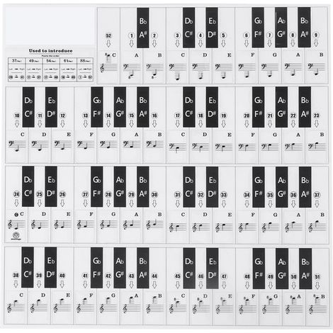 Autocollants PVC pour piano, décoration écologique, touches noires et blanches transparentes (T-31W) (1/5)