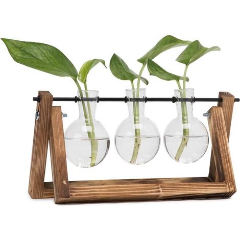 Vase en verre bulbe avec support en bois vintage et tige rotative en métal