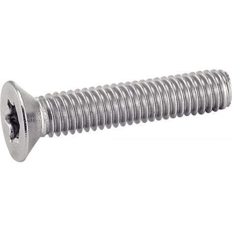 Vis euromarine iso 14581 a4 m6x80 tête fraisée torx