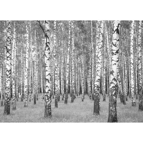 Tableau hiver noir & blanc | Tableau forêt troncs d'arbres | Tableau sur toile nature idéal pour chambre adulte et salon - 0,7 x 0,5 m (1/2)