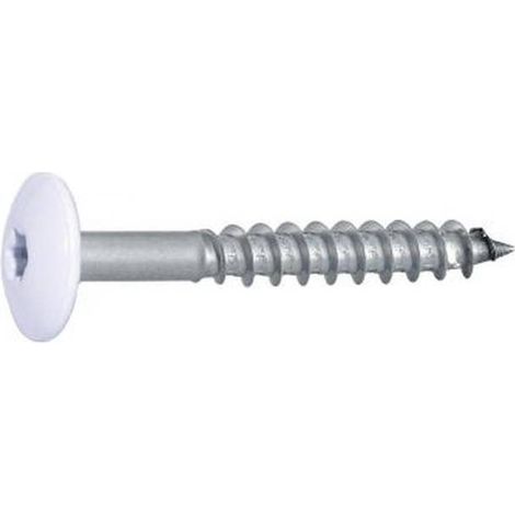 100 Vis de Façade Tête Cylindrique Extra Large Six Lobes 4.8 x 38 mm RAL 9010 Blanc - Inox A2 - D-Work (1/5)