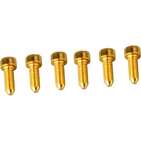 6 Vis à tête hexagonale pour pont tremolo guitare, blocage cordes avec pointe conique dorée (1/5)