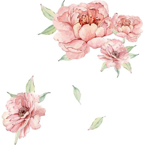 Sticker mural décoratif autocollant – Motif de pivoines roses façon aquarelle, décoration florale élégante pour salon ou chambre, pose facile, 710 x 600 mm (1/5)