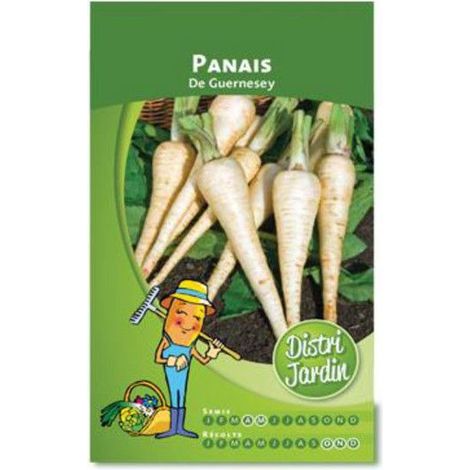 Graines de Panais - DISTRI JARDIN - Guernesey - Racine conique - Chair blanche - Moins de 1 kg (1/2)