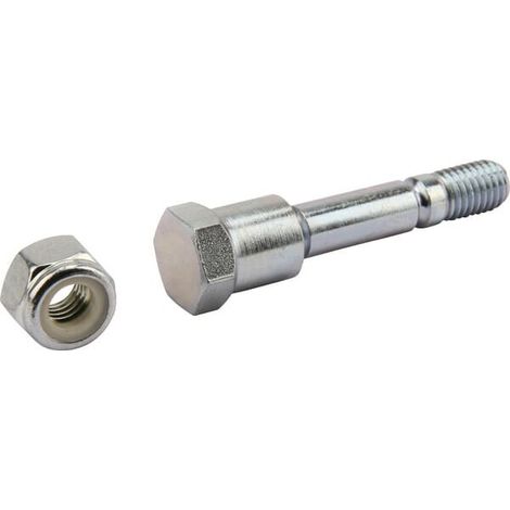 Vite bullone AGRIA AGW488000