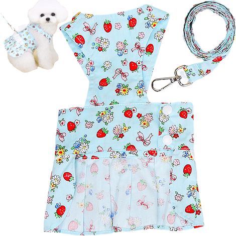 Robe et harnais pour chien, ensemble mignon pour petite et moyenne taille, chat et fille (bleu)