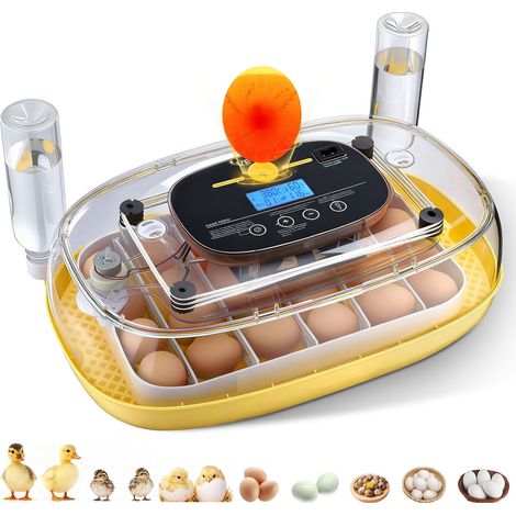 Couveuse Œuf Automatique 24 Œufs de Poule Incubateur Œuf pour Éclosion Œufs de Volaille Poussins Canetons Oies Cailles, avec Mire LED Affichage Température et Humidité Fenêtre Transparente 360° (1/5)