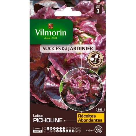 Vilmorin - Laitue Pommée Picholine - SDJ (1/2)