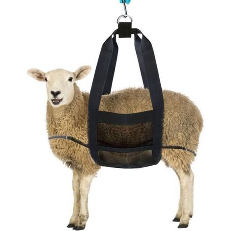Élingue De Pesée - Nylon - Capacité 100 Kg - Pour Petit Bétail - 1 Pièce (1/3)