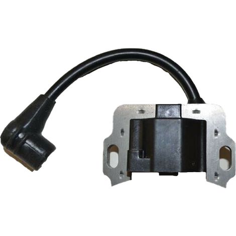 Accensione elettronica motore Honda GX100 compatibile