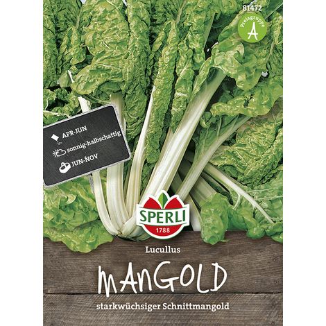 Sperli Mangold Lucullus - Gemüsesamen (1/2)