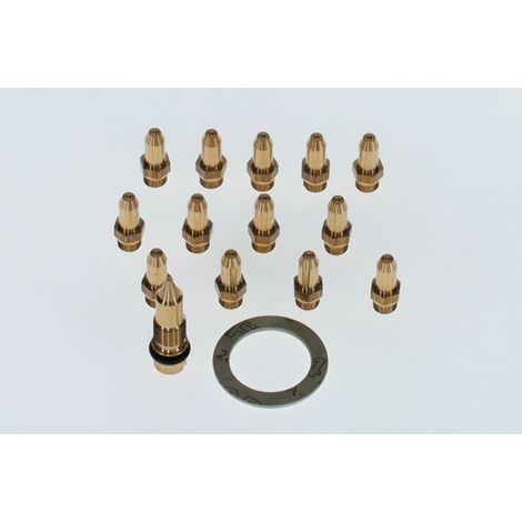BOSCH Gasart-Umbausatz 3123, 7710139036 (1/2)